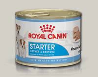 Royal Canin Starter Mousse для щенков до 2-х месяцев, беременных и кормящих сук